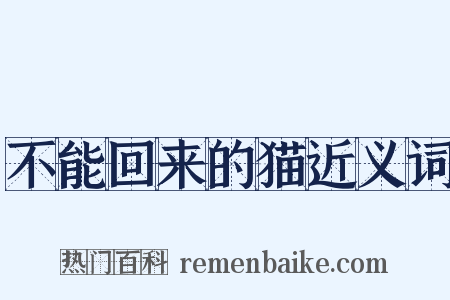 不能回来的猫近义词是什么意思的图片
